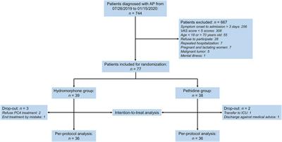 Safety and efficacy of intravenous hydromorphone patient-controlled analgesia versus intramuscular pethidine in acute pancreatitis: An open-label, randomized controlled trial